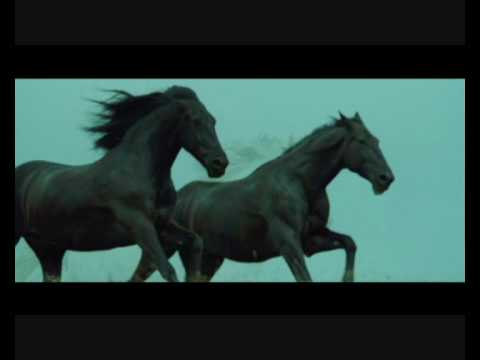 Youtube: Black horses - Now we are free (Lisa Gerrard)