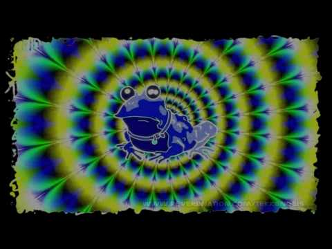 Youtube: Tekk Gnosis - The Hypnotoad [ Dubstep Grime Techno ]