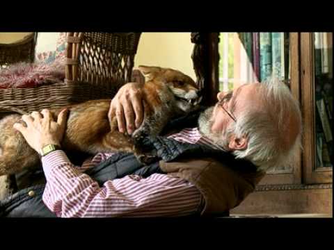 Youtube: Jack the Fox - A Day in the Life