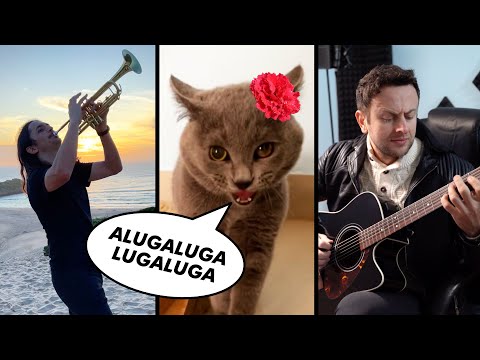 Youtube: The Kiffness x Alugalug Cat 2.0 - Please Go Away (Flamenco Edit) ft. Spaul