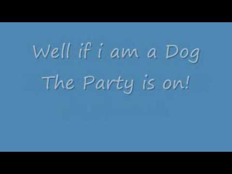 Youtube: Baha Men - Who Let The Dogs Out Lyrics