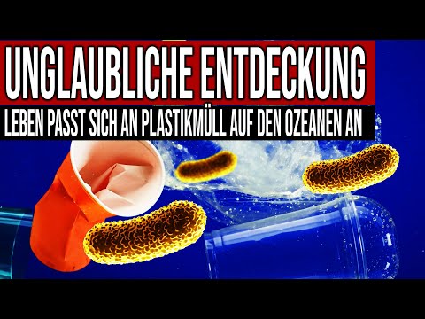 Youtube: Unglaubliche Entdeckung - Leben passt sich an Plastikmüll in den Ozeanen an
