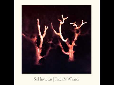 Youtube: Sol Invictus - Looking For Europe [album version, vocals Ian Read]