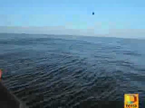 Youtube: UFO DIVES UNDERWATER! RECORDED IN SPAIN