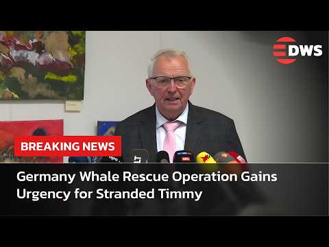 Youtube: JETZT ANSEHEN: Update zur Walrettungsaktion für den in Deutschland gestrandeten Buckelwal Timmy |...