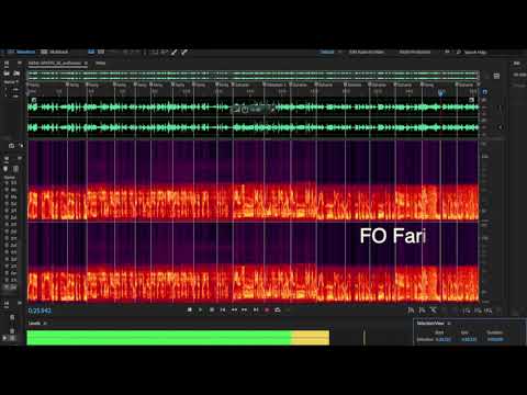 Youtube: Voice Analysis of MH370 Crew