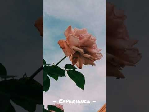 Youtube: Experience - Ludovico Einaudi || [ 30 Minutes ]