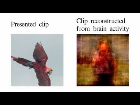 Youtube: Movie reconstruction from human brain activity
