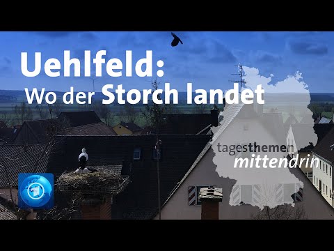 Youtube: Uehlfeld: Das bayerische Storchendorf | tagesthemen mittendrin