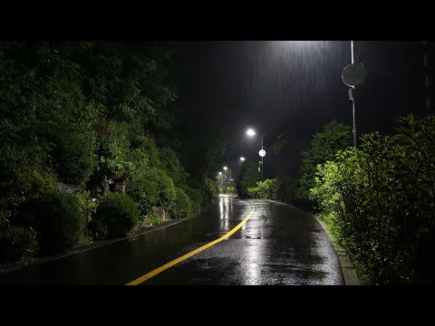 Youtube: 한밤중에 공원 산책길 숲에 내리는 폭우 빗소리, 그리운 사람이 생각나는 양평읍 갈산공원