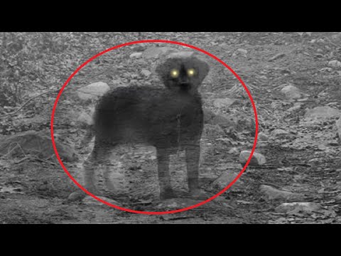 Youtube: 10 Of The Most Mysterious Photos That Should Not Exist