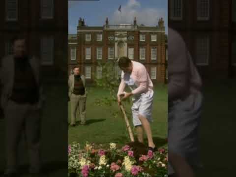 Youtube: Anne little britain #foryou #viral #comedy #comeflywithme #littlebritain