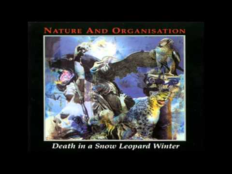 Youtube: Nature and Organisation - Death in a Snow Leopard Winter