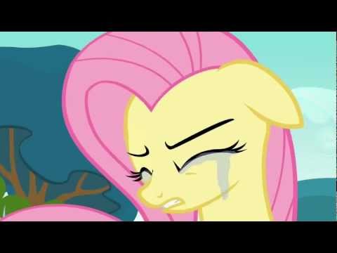 Youtube: Fluttershy + Rainbow Dash 2