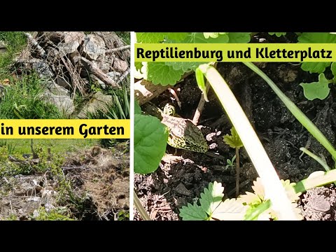 Youtube: Reptilienburg und Kletterplatz in unserem Garten, ein Platz für Zauneidechsen