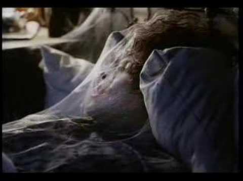 Youtube: The Cure - Lullaby [Music Video]
