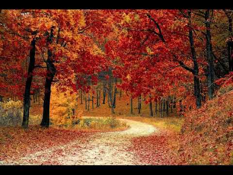 Youtube: Albinoni, Adagio in G minor