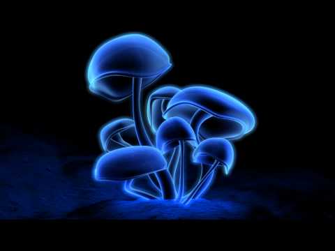 Youtube: Junkie XL - Mushroom [HD]
