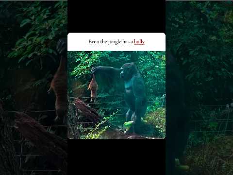 Youtube: || Avoid them....                                                                            #shorts