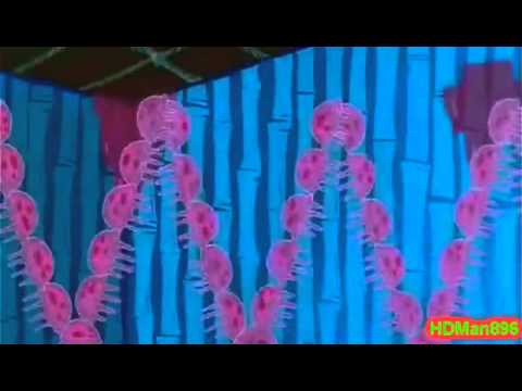 Youtube: jellyfish jam