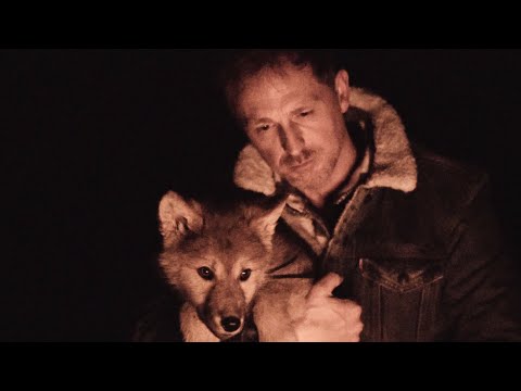 Youtube: Jörg Bausch - Wie ein Wolf in der Nacht "2019" (Official Music Video)