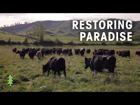 Youtube: Farming Sustainably with Regenerative Agriculture | Restoring Paradise