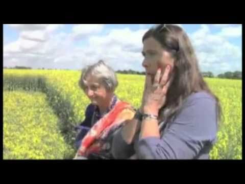Youtube: Quite Interesting Crop Circle and "The Other Side" -  tv FEM