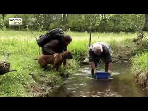 Youtube: Youtube Kacke - Andreas Kieling - Auf der Fährte der Bache