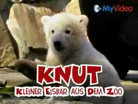 Youtube: KNUT DER KLEINE EISBÄR - (Knut il piccolo orso polare)