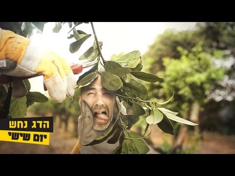 Youtube: הדג נחש עם יצחק קלפטר - יום שישי (קליפ רשמי)