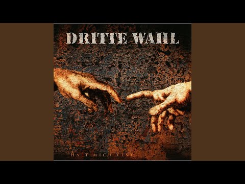 Youtube: Dummheit kann man nicht verbieten