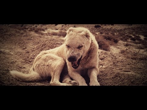 Youtube: Kontra K - Wölfe (Videoclip)