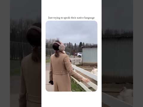 Youtube: Use This Sound 🤣