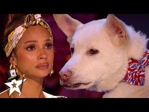 Youtube: Judges Cry Over Emotional Dog Magic Act on Britain's Got Talent 2020 | Magician's Got Talent