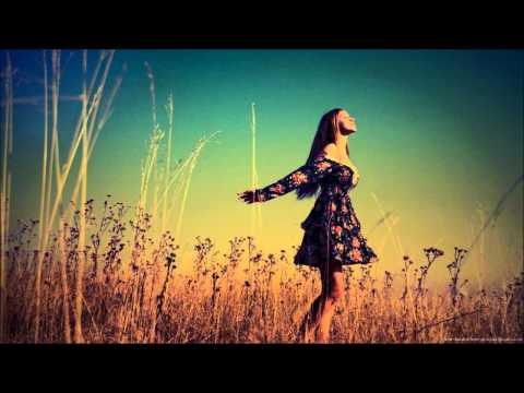 Youtube: Paul Van Dyk Feat. Arty - The Ocean (Andrius Edit)
