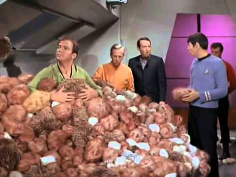 Youtube: Star Trek The Trouble With Tribbles Clip