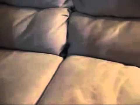Youtube: Katze im Sofa