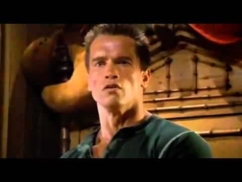 Youtube: Arnold Schwarzenegger - Right? Wrong.