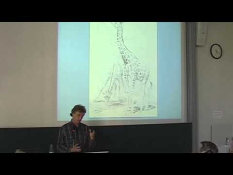 Youtube: Video 4 - Alfred Wallace war origineller als Darwin!