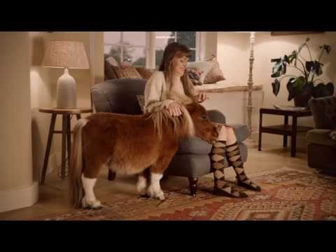Youtube: Pferd - Amazon.de [Commercial 2015]