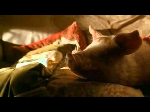 Youtube: Farmer Hogget Sings To Babe - If I had words.mp4