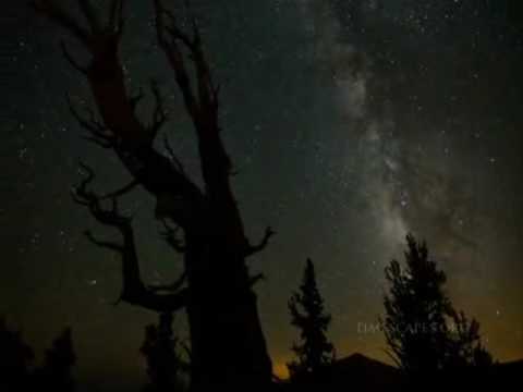 Youtube: Quasar - Sandal Wood [Yvel & Tristan Mix]
