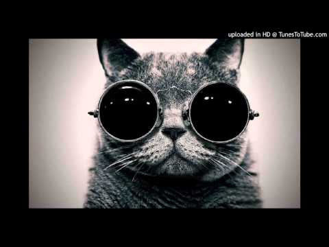 Youtube: Gramatik - Muy tranquilo (DJ Vitamin D re-edit)