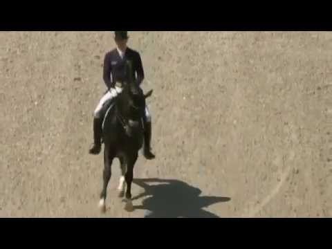 Youtube: Matthias Alexander Rath & Totilas,Aachen CDIO5*,Grand Prix 2014