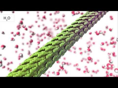 Youtube: Better batteries through biology