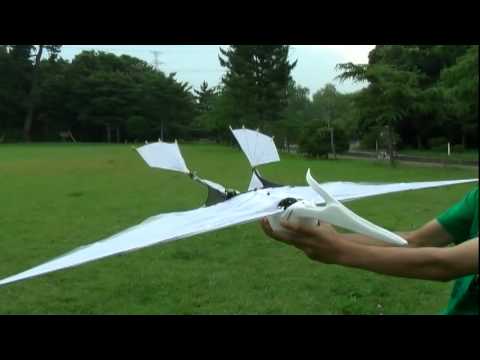 Youtube: Pteranodon 9-7  Very Good  Flight  6  : RC Ornithopter
