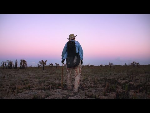 Youtube: Caamp - Fall, Fall, Fall (Official Music Video)