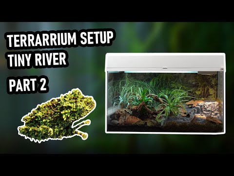 Youtube: Terrariengestaltung für Frösche inkl. Bachlauf – Der Tiny River (TR-45) – Lucky Reptile