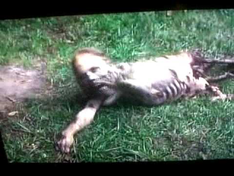 Youtube: crawling zombie.3GP