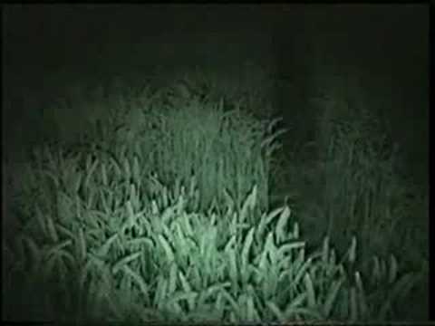 Youtube: How to Make a crop circle Longwood Warren pt2